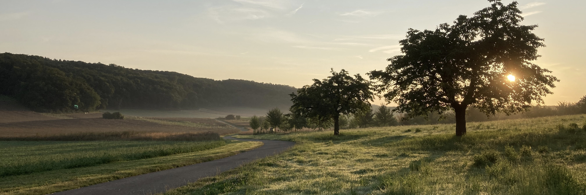 Baum mit Sonne